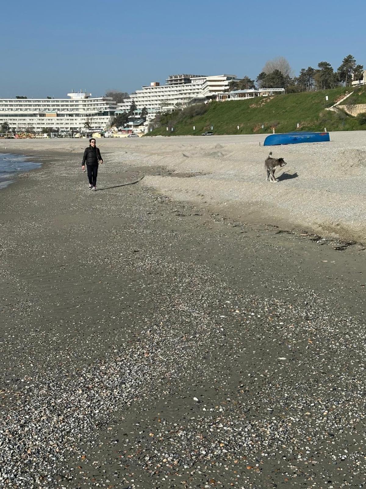 Aky&Suki Sea View Apartments Olimp Εξωτερικό φωτογραφία
