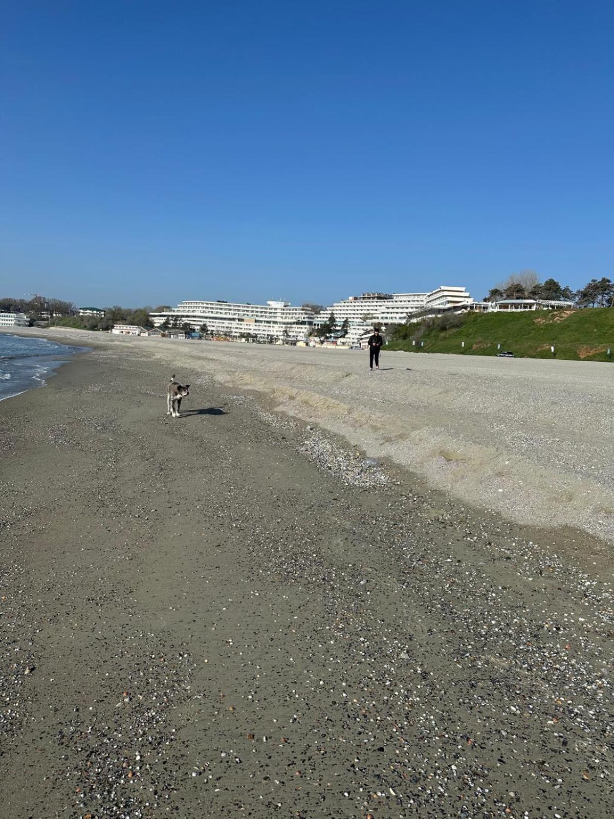 Aky&Suki Sea View Apartments Olimp Εξωτερικό φωτογραφία