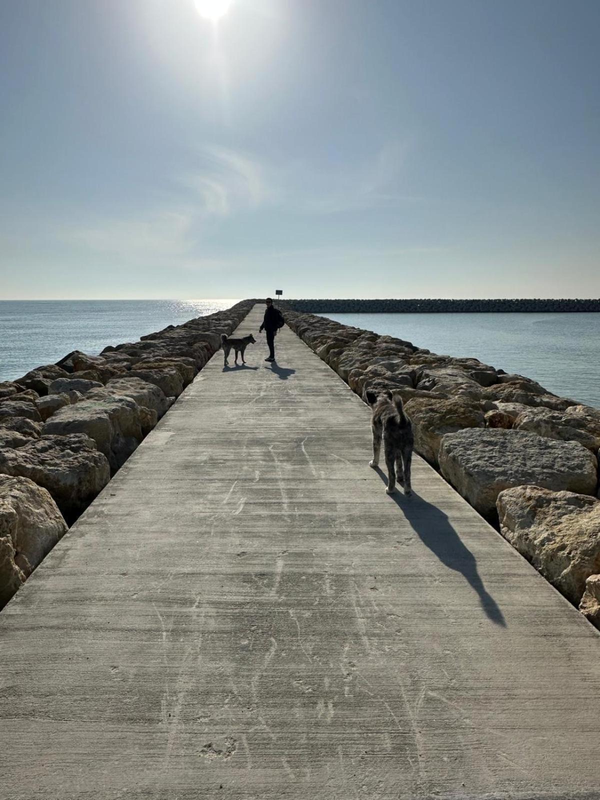 Aky&Suki Sea View Apartments Olimp Εξωτερικό φωτογραφία